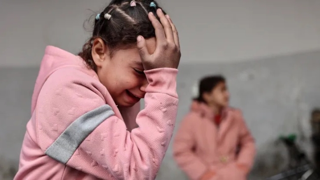 Palestina: Ataques israelíes provocaron la muerte de al menos 59 personas en las últimas horas