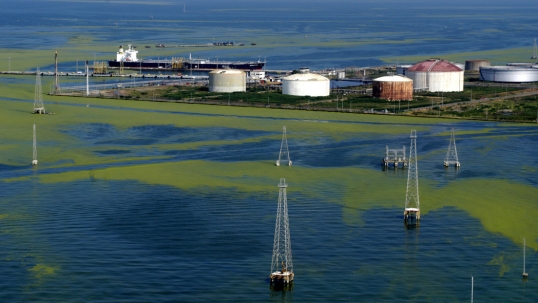 Trump: Venezuela «entregará» a EE.UU. entre 30 y 50 millones de barriles de petróleo