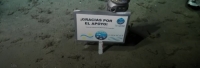 El cartel de los científicos del Conicet en el fondo del mar que emocionó a todos
