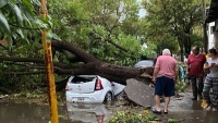 Santa Fe: Fuerte temporal en Casilda, Pujato y otras localidades