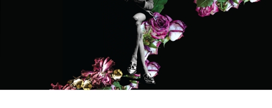 Se estrena «Flores muertas» en el Teatro Nacional Cervantes