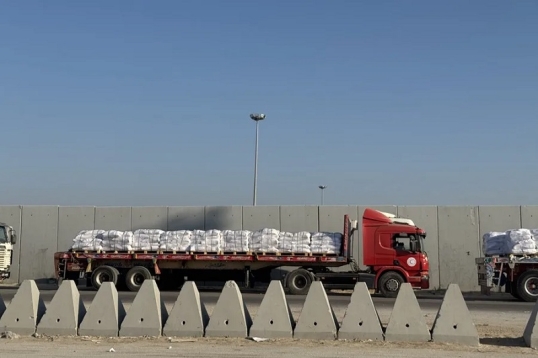 Gaza: En las útimas horas mueren al menos 31 personas la mayoría mientras esperaban ayuda humanitaria