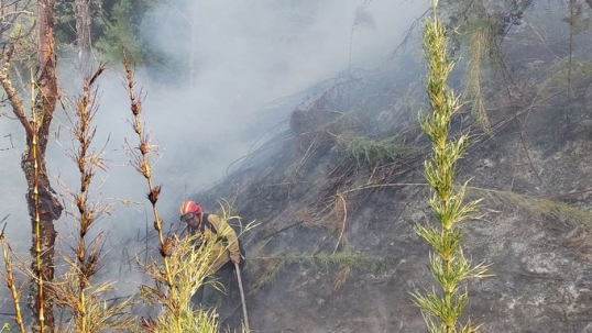 Neuquén: El incendio en Parque Nacional Lanín ya consumió más de 22 mil hectáreas