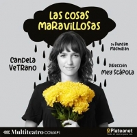 «Las cosas maravillosas”, con Candela Vetrano se verá en Multiteatro Comafi