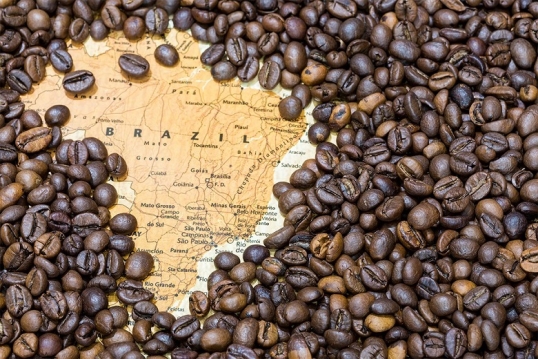 Empresas brasileñas de café exportarán sus productos al mercado chino