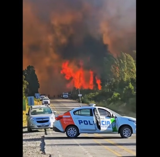 Río Negro: El gobernador declaró el estado de Emergencia Ígnea