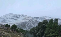 La nieve llegó a Sierra la Ventana