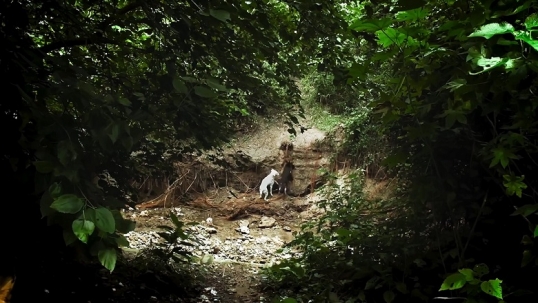 Comienza la 24 Muestra internacional de cine documental DOC BA
