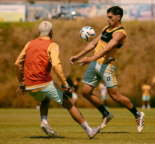 Torneo Apertura: Aldosivi recibe a Defensa y Justicia
