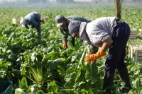 En Argentina, 7 de cada 10 hogares rurales tiene ingresos por debajo de la línea de pobreza